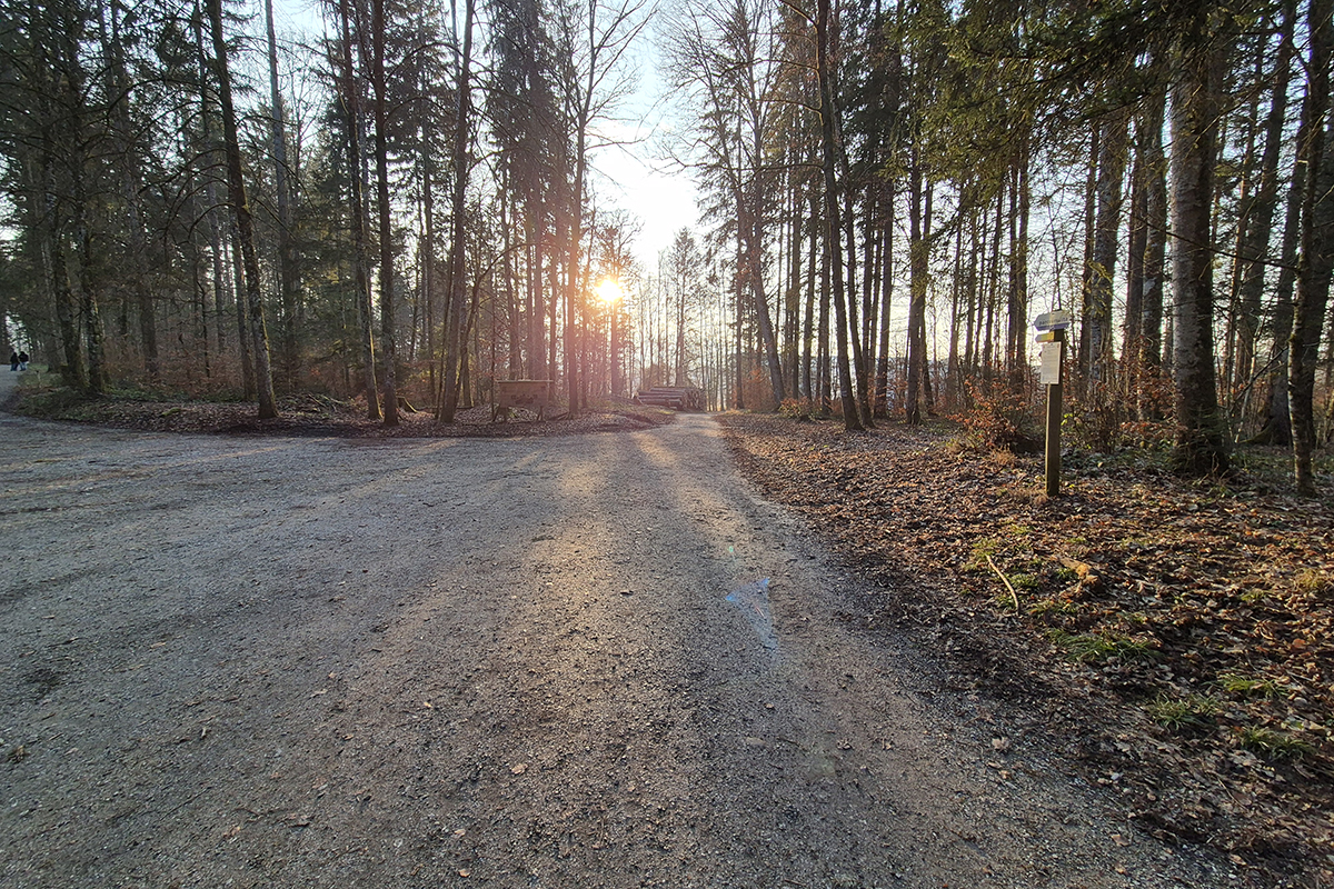 forêt de Bouleyres