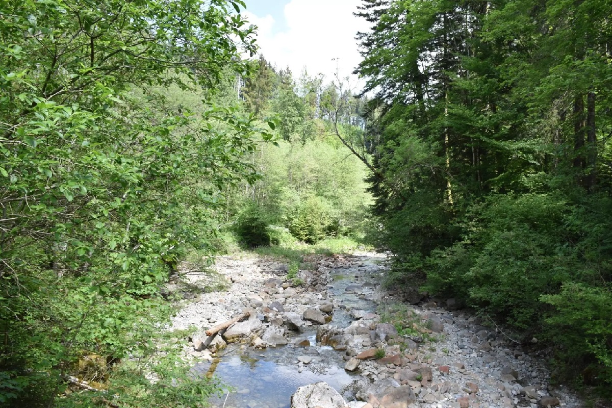 Sentier des pauvres en Gruyère