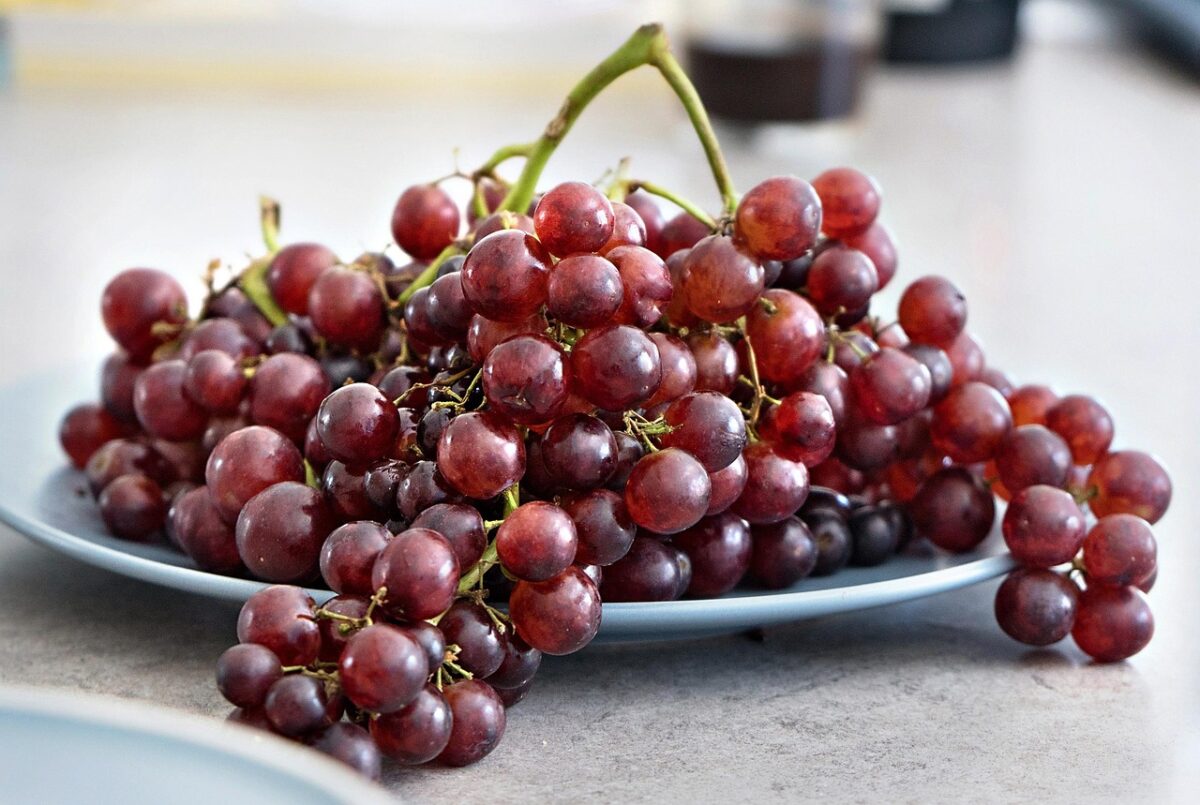 congeler des raisins