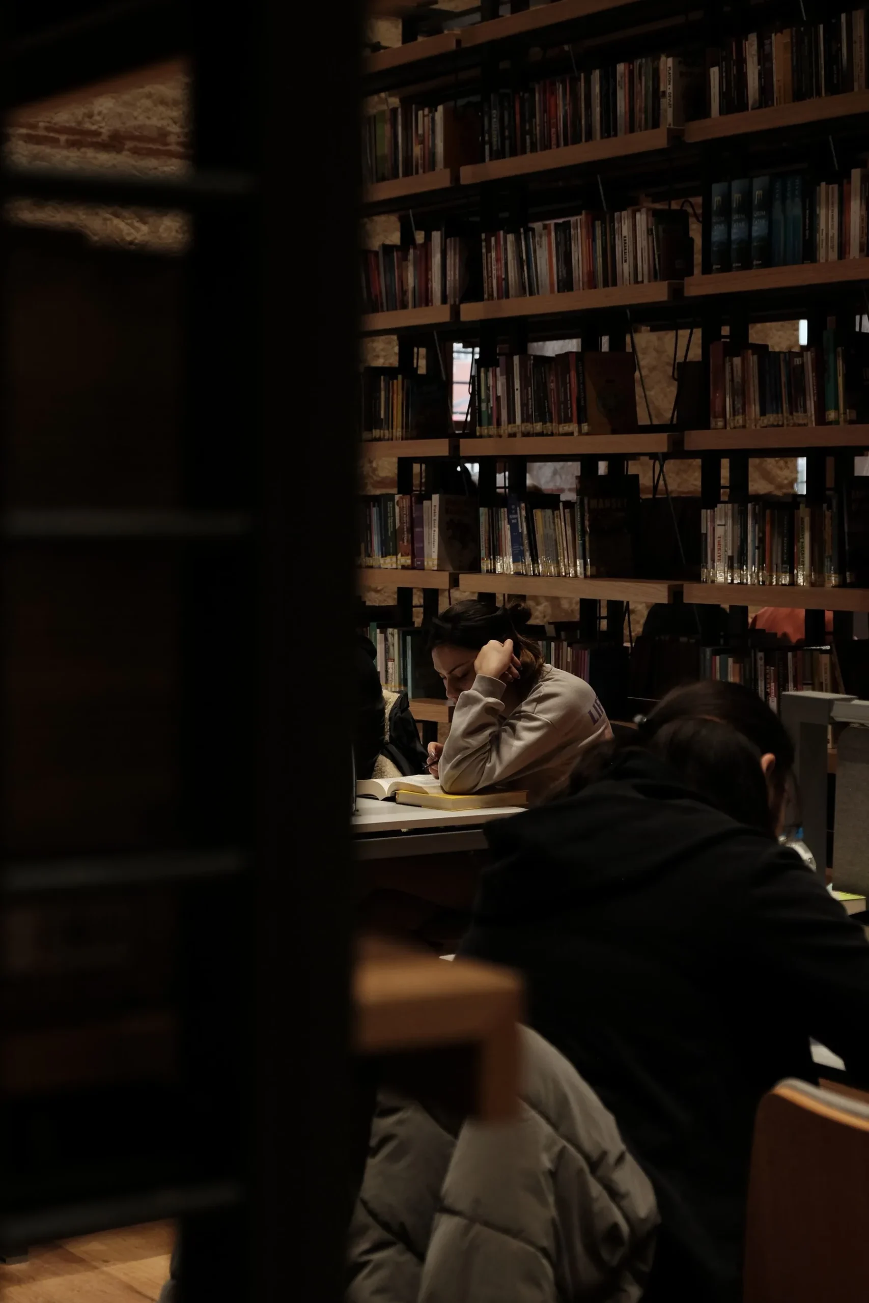 Lecteurs installés pour travailler dans une bibliothèque