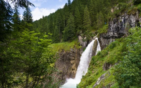 Cascade dans une forêt alpine suisse