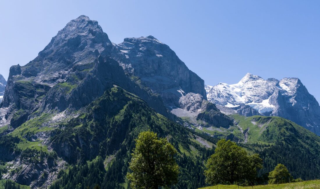 Paysage alpin suisse verdoyant sous un ciel bleu