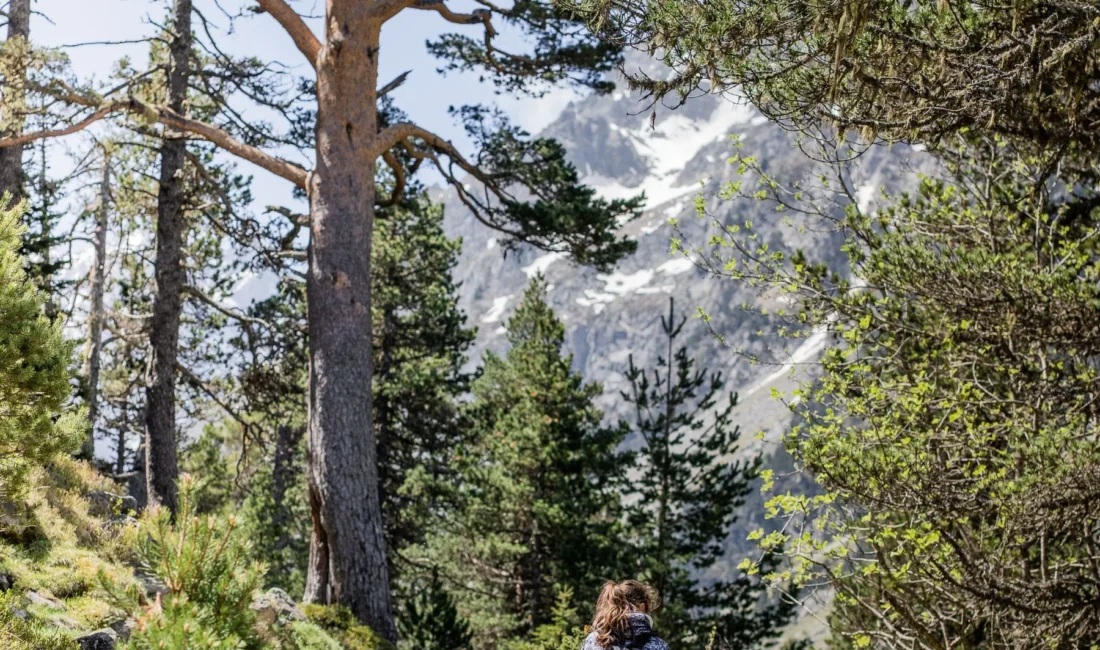 Randonneurs sur un sentier des Préalpes fribourgeoises