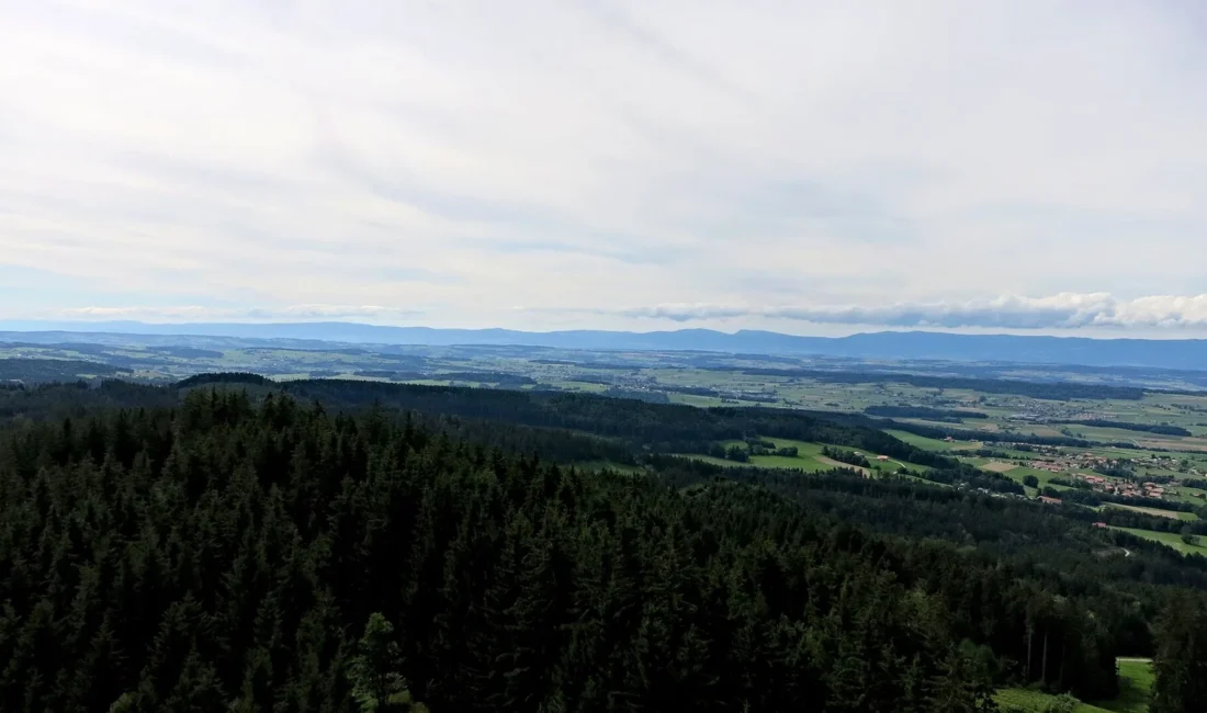 Panorama vers l’ouest depuis la Tour du Gibloux