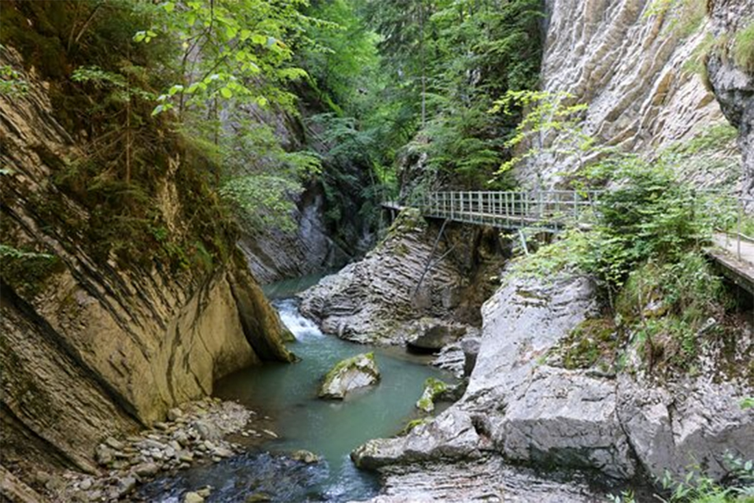 Découvrez les merveilles des gorges de la Jogne en Gruyère