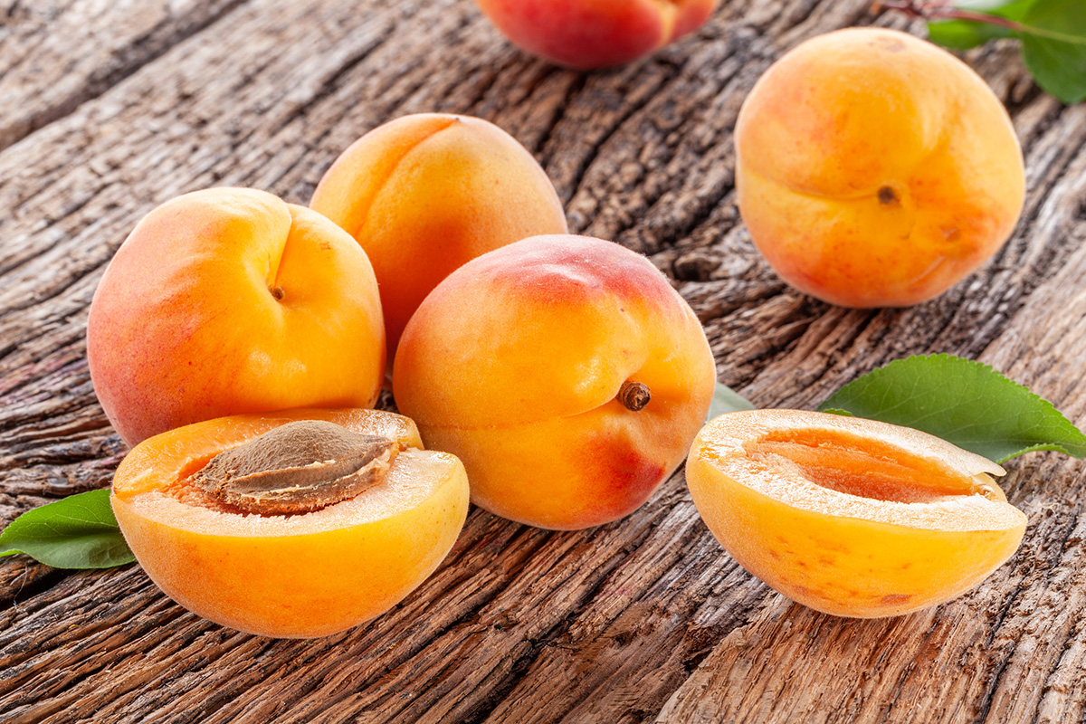 Congélation des abricots : Notre guide pratique