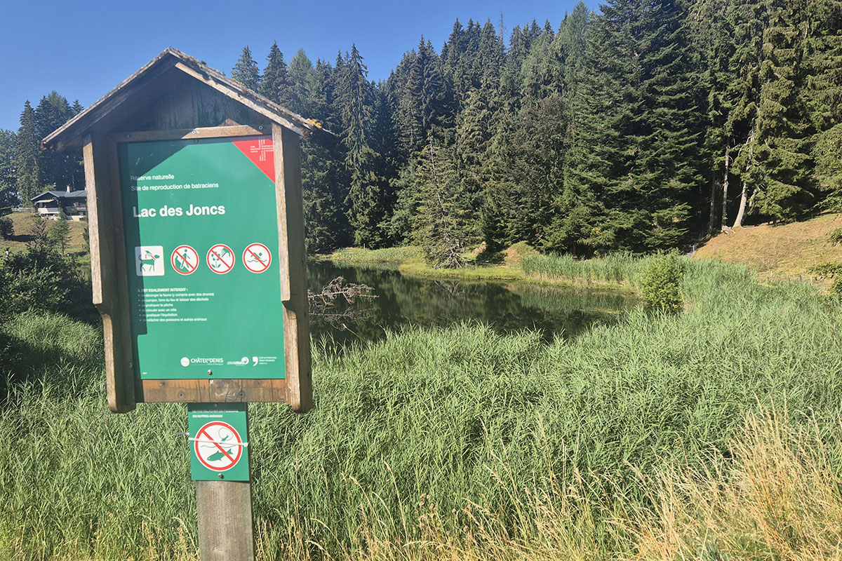 Lac des Joncs aux Paccots