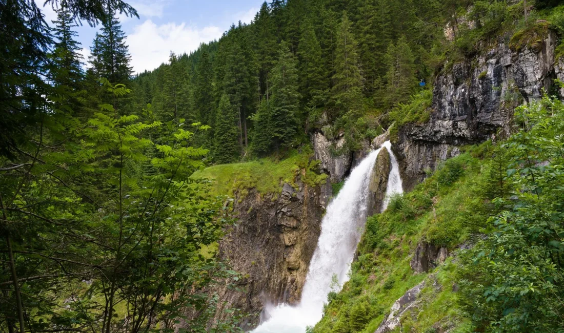 Cascade dans une forêt alpine suisse